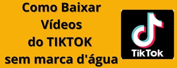 baixar vídeos do tiktok usando o Snaptik